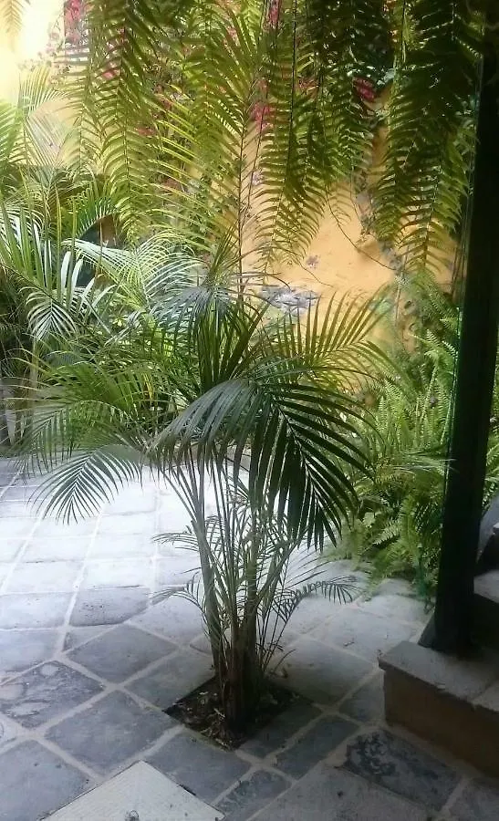 Casa La Moringa Bed and Breakfast Los Silos